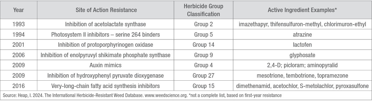 Evolution of waterhemp herbicide resistance in the United States. 